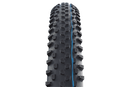 Schwalbe Tyre Racing Ray 29 x 2.25 Performance Folding Addix TL-Easy HS489