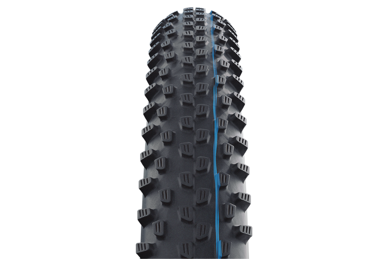 Schwalbe Tyre Racing Ray 29 x 2.25 Performance Folding Addix TL-Easy HS489